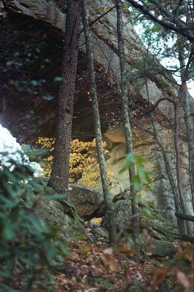 Red River Gorge in Fall 5.jpg